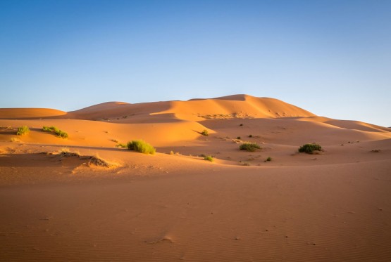 Do kraja vijeka Sahara bi mogla da se zeleni