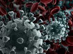 Divlja forma poliomijelitisa otkriven u uzorcima otpadnih voda u Nemačkoj