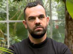 Natalijina ramonda oživljava nakon suše ,simbol obnove Srbije posle Velikog rata