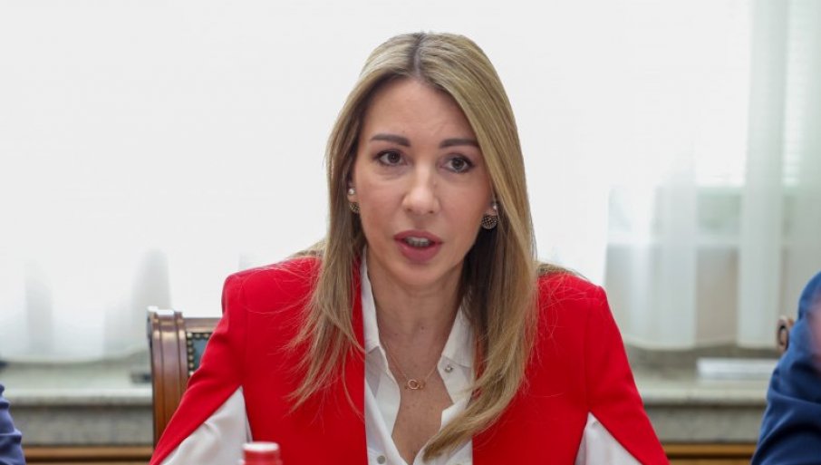 Strani investitori pohvalili napredak u svojoj Beloj knjizi