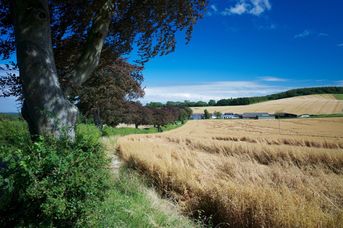 Tržišna vrednost zemljišta kako se određuje