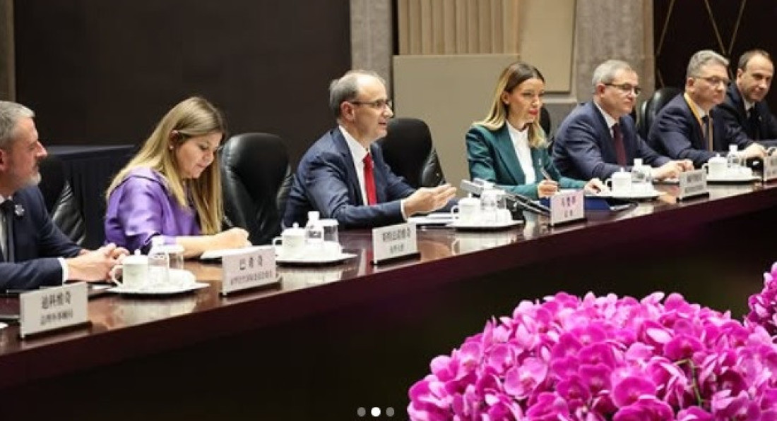 Mesarović o saradnji sa Kinom