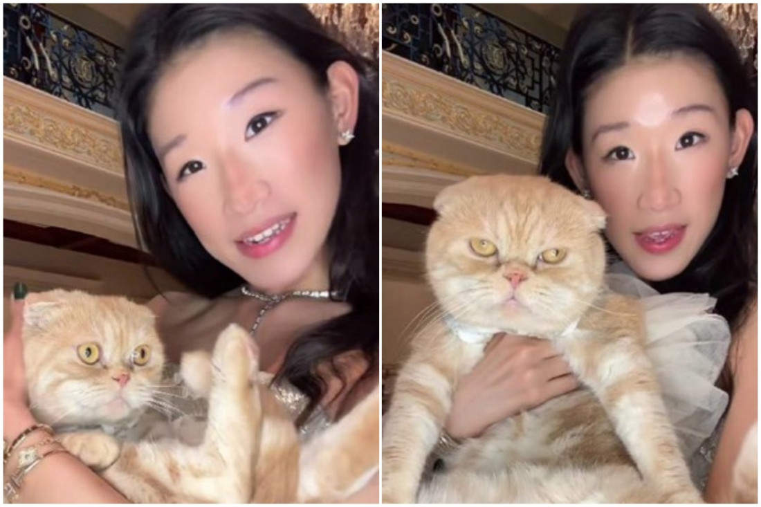 Influenserka krstila mačka