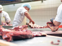 Kažnjivo da se nepregledano meso koristi i pušta u promet