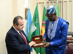 Dačić razgovarao sa ministrima spoljnih poslova i bezbednosti Republike Mali o daljoj saradnji