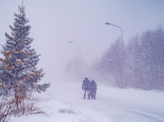 Oluja Johanes pogodila Švedsku, više od 40.000 domaćinstava bez struje