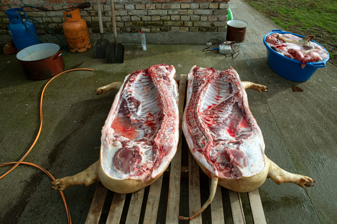 U Mačvanskom okrugu registrovana trihineloza