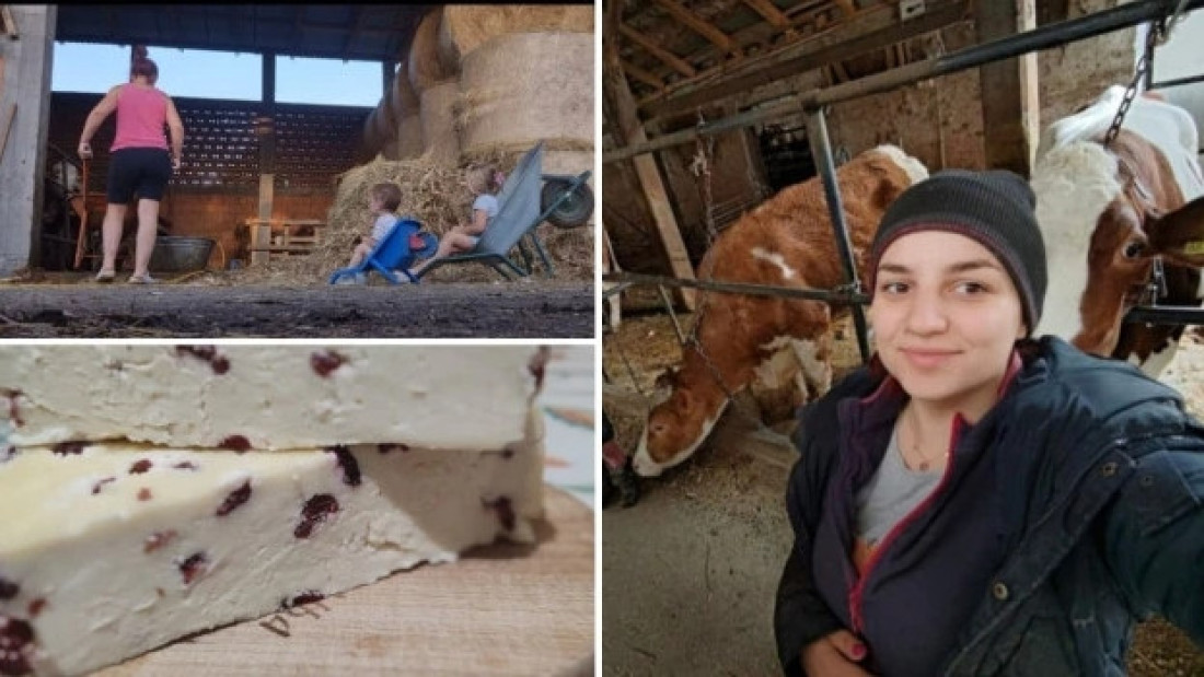 Jovana se vratila na selo i proizvodi stotine litara mleka