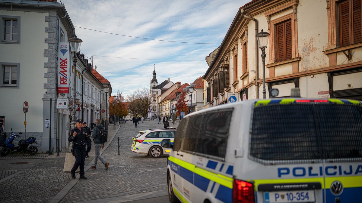 Policija u Sloveniji pokušala da zaustavi vozača iz Srbije, a onda ga je ubio auto