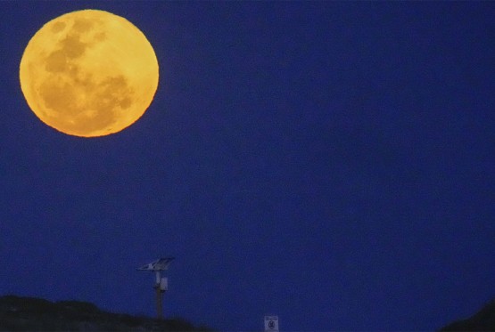 Šta očekuje nauku u 2026. godini: Od leta ka Mjesecu do novih testova za rak