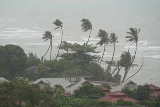 Tajfuni i uragani postaju sve jači: Nauka koja stoji iza ekstremnih oluja