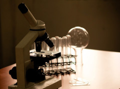 Dogodilo se na današnji dan