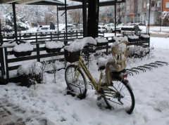 U Vladimircima vanredna situacija zbog snežnog nevremena