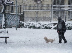 Slab sneg na severu zemlje, na Zlatiboru minus sedam, u Vranju osam stepeni