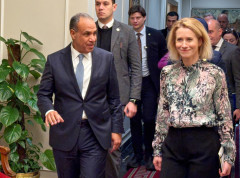 EU razmatrala kako bi izgledao evropski odgovor na pretnju SAD Grenlandu