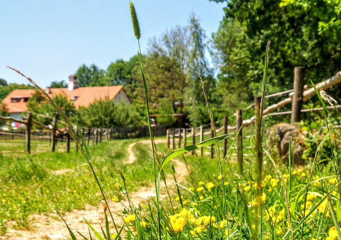 Dve kuće kod Kragujevca za 15.000 evra