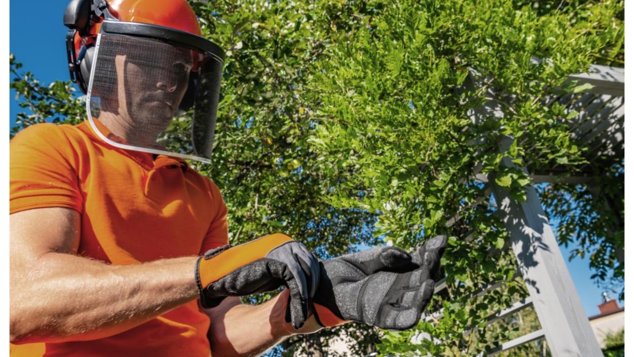 Posao plaćen i do 100 evra DNEVNO, a radnici nedostaju