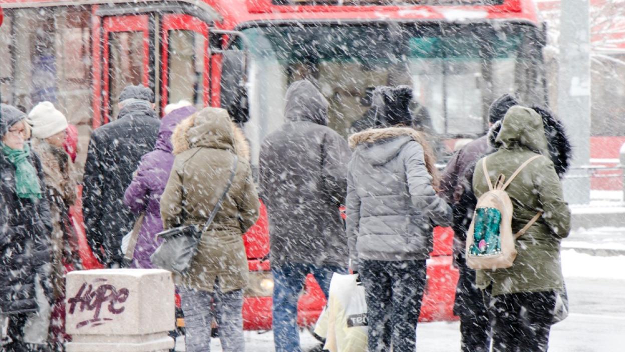 Oglasio se GSP, javni prevoz u Beogradu bez većih problema
