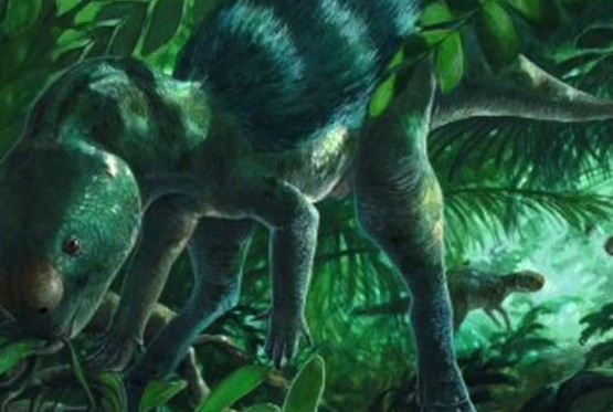 Naučnici otkrili dinosaurusa od pola metra (FOTO, VIDEO)