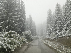 Sneg na nekim putnim pravcima, uglavnom na teritoriji Niša, Zaječara i Požarevca
