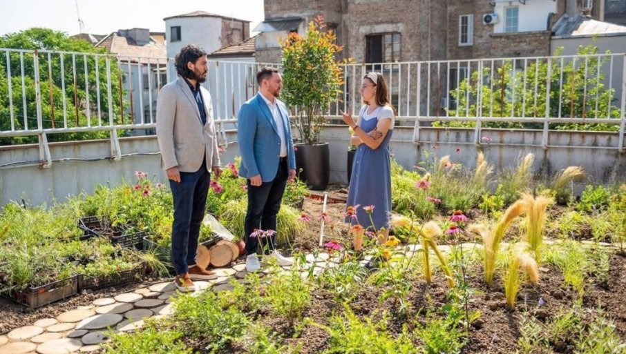 ZELENI KROV I U DANIJELOVOJ: Smanjenje efekta staklene bašte