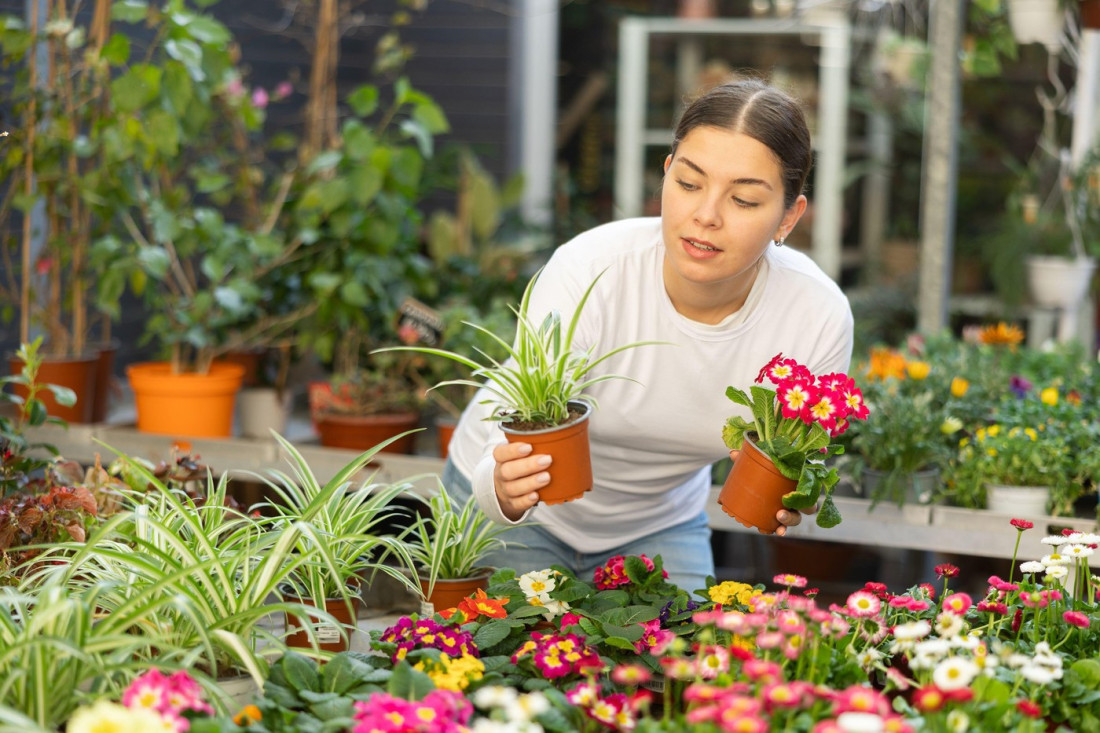 Pet biljaka posadite sada unutra, pa u aprilu presadite