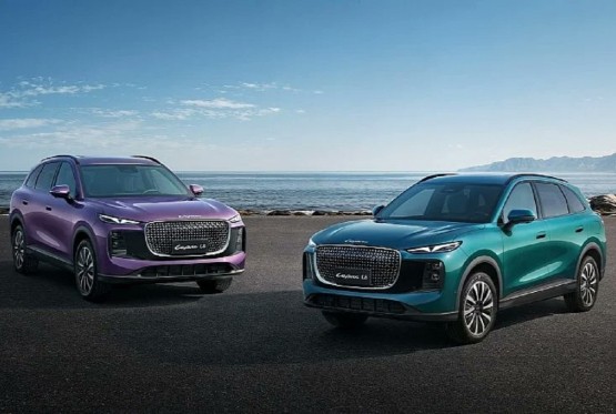 Lepas stiže u Evropu