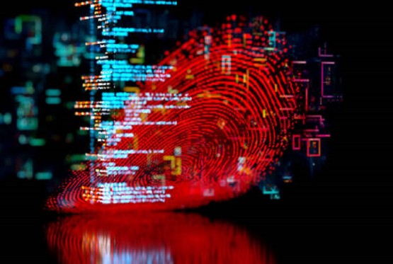 Digitalna zamka: Evropol raskrinkao mračnu mrežu