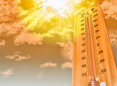 Rast temperature bi mogao da dovede do stotine hiljada smrtnih slučajeva