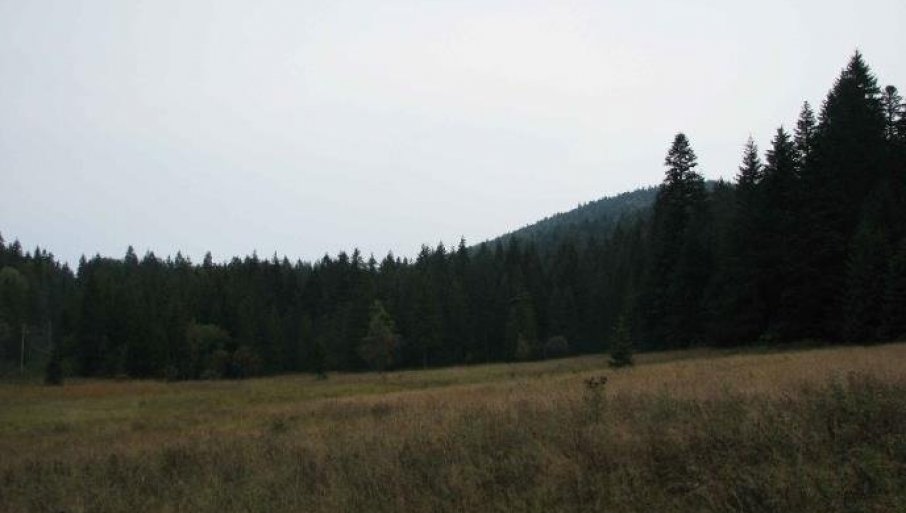 Deca iz Stublina, Skele i Draževca na sedmodnevnom druženju