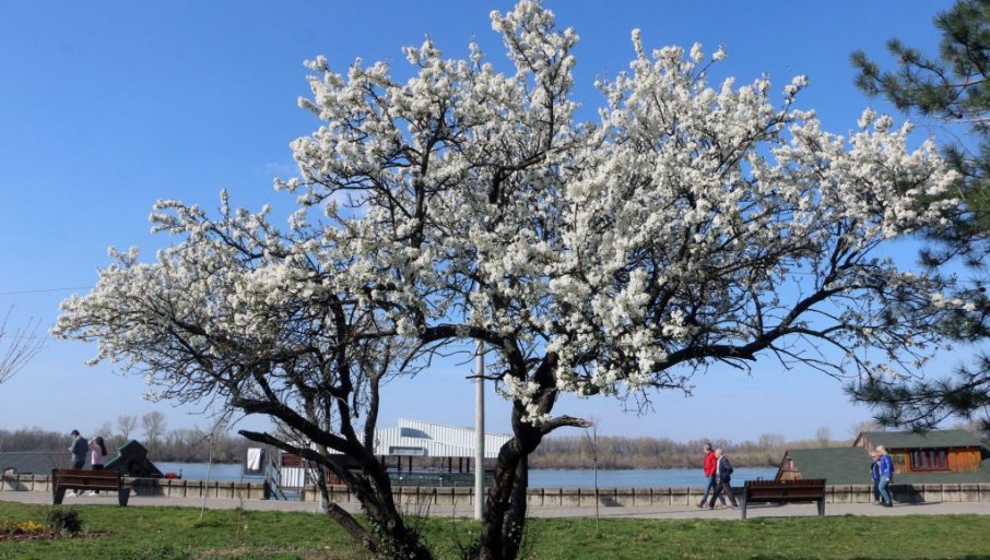 Kakvo vreme nam donosi početak proleća