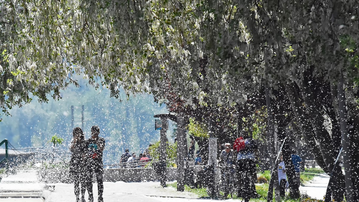 Ljudi u Srbiji idu ulicom i plaču: Prolećne alergije sve agresivnije