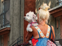 Putovanje sa kućnim ljubimcima u EU uskoro jednostavnije i jeftinije
