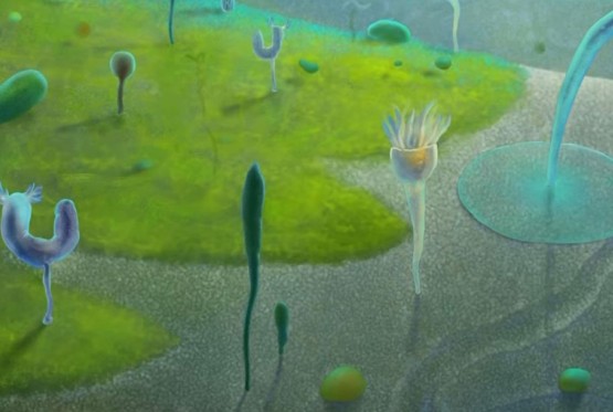 Fosili iz Kine mijenjaju istoriju