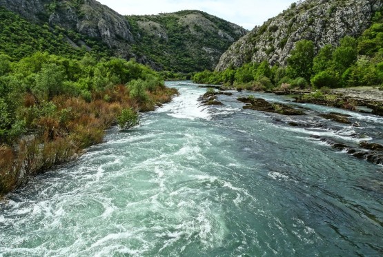 Naučnici pojasnili šta je uzrokovalo pomor ribe u rijeci Neretvi