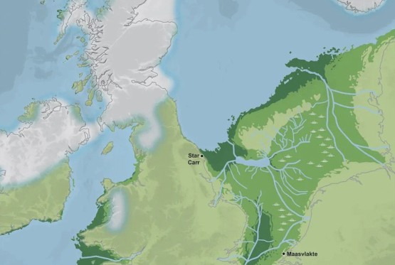 Na dnu Sjevernog mora šume rasle hiljadama godina ranije nego što se mislilo