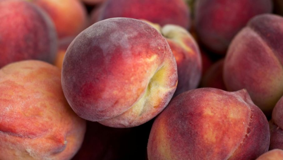 Saveti za vlasnike manjih plantaža