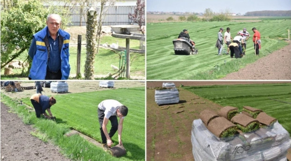 Penzioner uzgaja travu