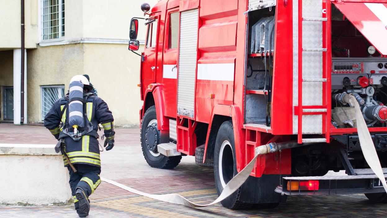 Vatrogasci iz požara izbavili nekoliko kučića, slike sa lica mesta raznežile su sve (FOTO)