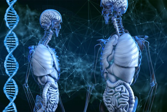 Roboti obavljaju medicinske eksperimente na Univerzitetu u Tokiju