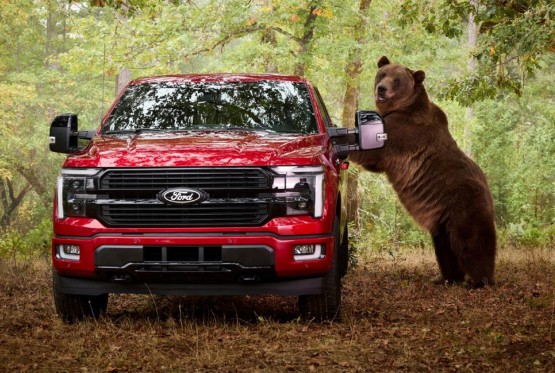 Ford angažovao medvjeda od 360 kg da provali u pikap