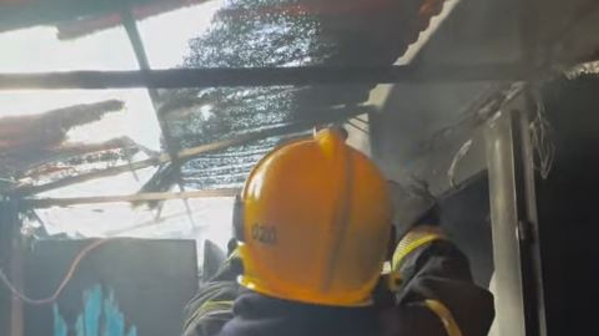 (video) Veliki požar u Novom Sadu: Vatrogasci na terenu (video)