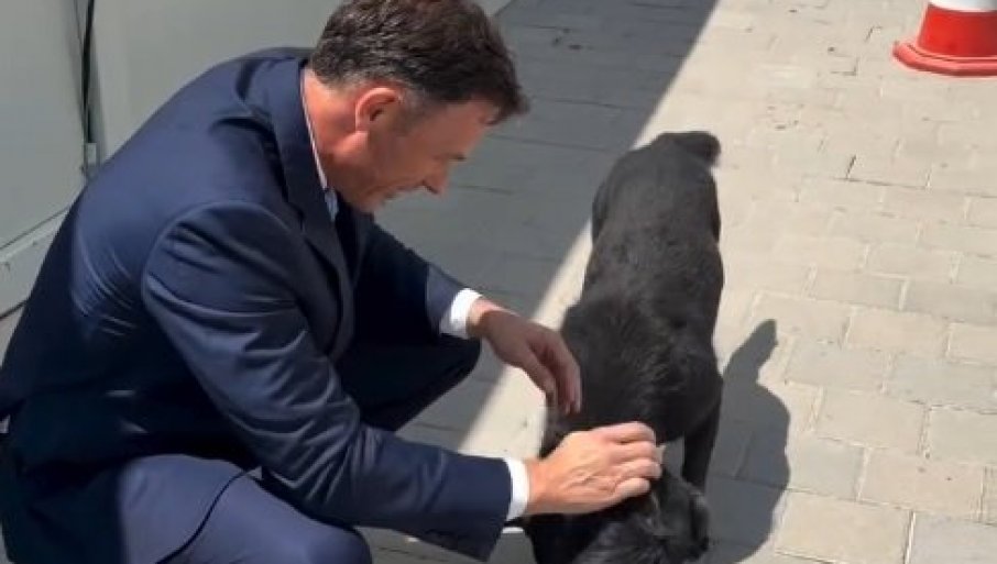 Mali se poigrao sa kucama u kampu u Surčinu