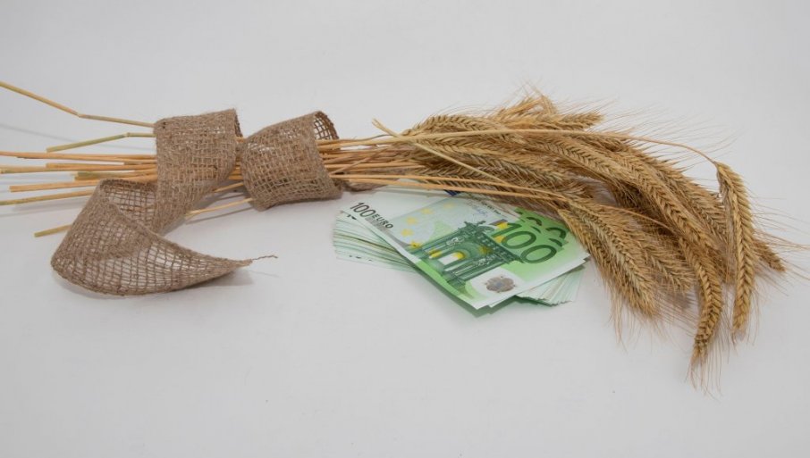 OVO SU SVE SUBVENCIJE REALIZOVANE OD POČETKA GODINE, A EVO ŠTA SLEDI: Država pomaže poljoprivrednike!
