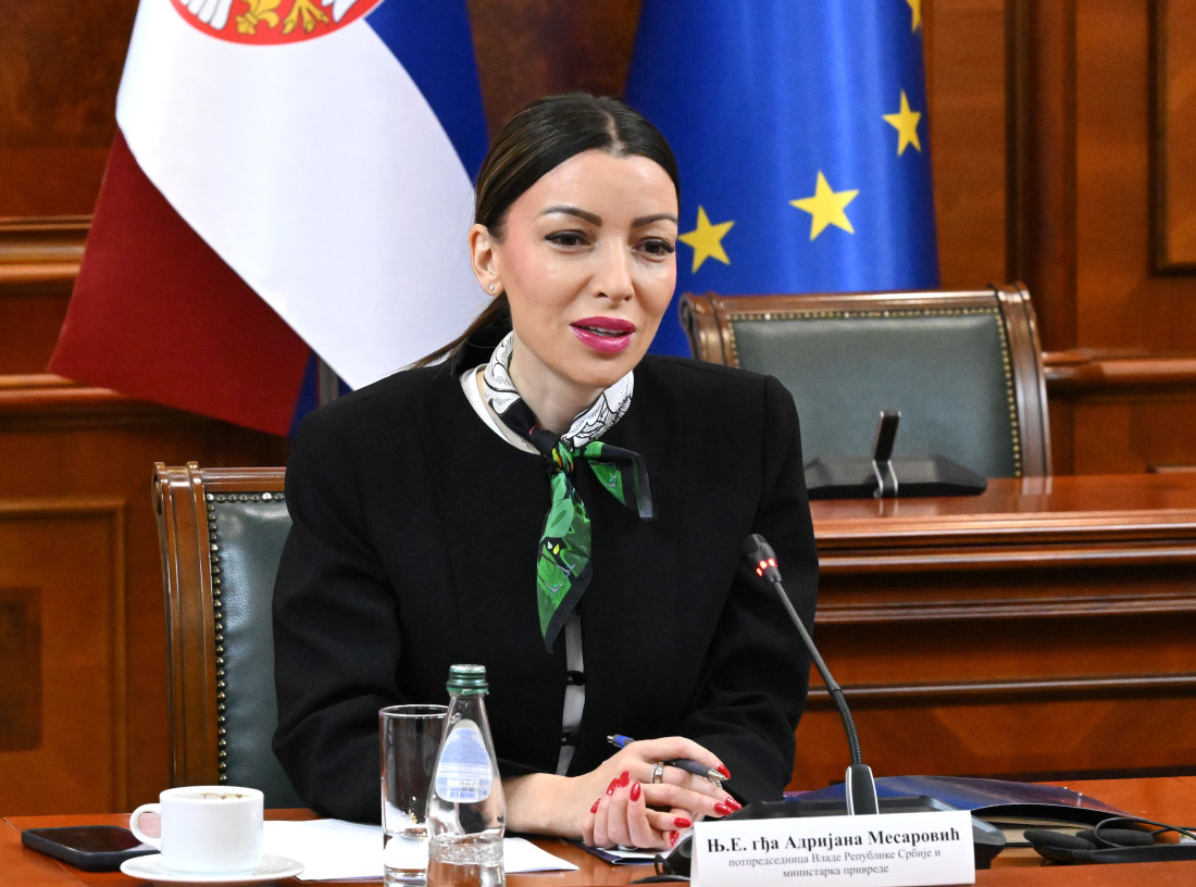 Mesarović iz Zrenjanina