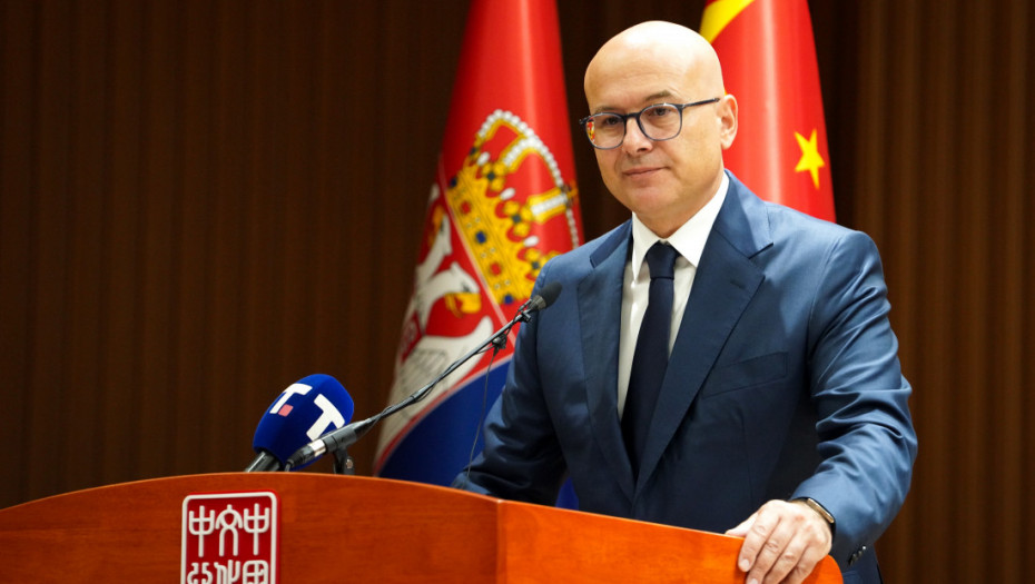 Vučević o odlukama Crne Gore za Srbiju