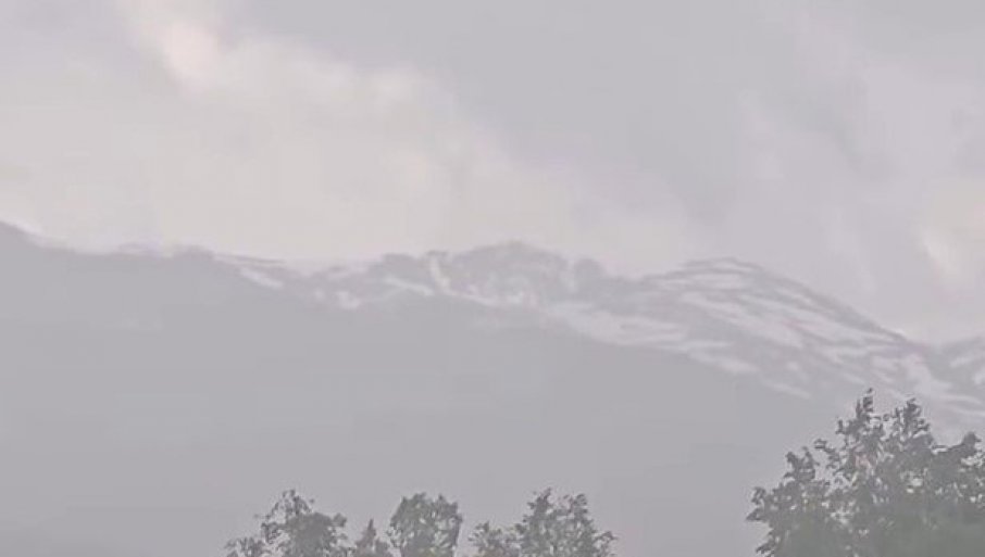 PAO SNEG NA ŠAR-PLANINI