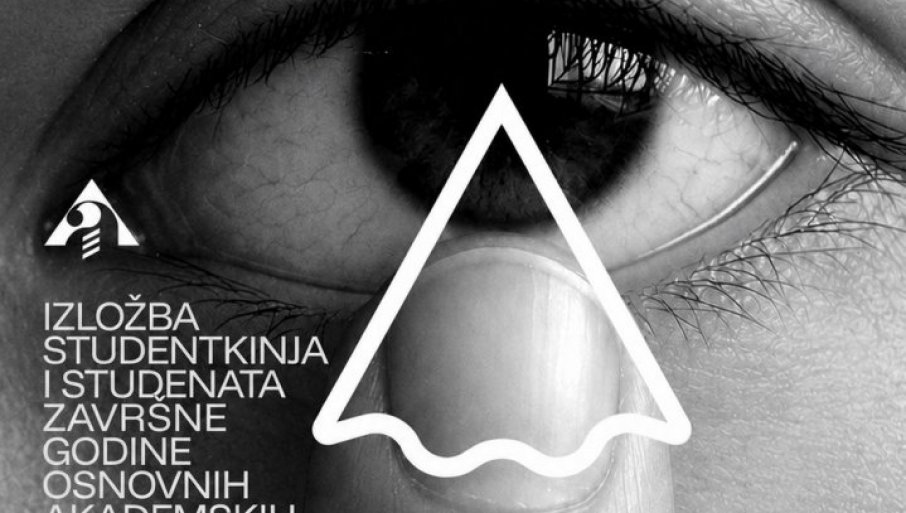 RADOVI STUDENATA:U SUNĐERANI Izložba na novosadskoj Akademiji umetnosti