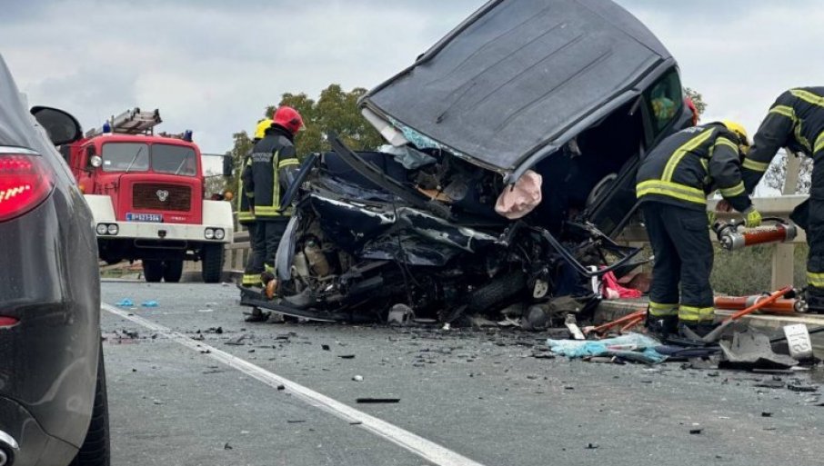 Za smrt Svetlane Jovanović (38) iz Novog Sada, majke troje dece, 100 meseci zatvora