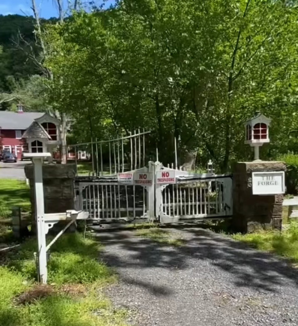 Jedan par je kupio staru kuću punu zmija